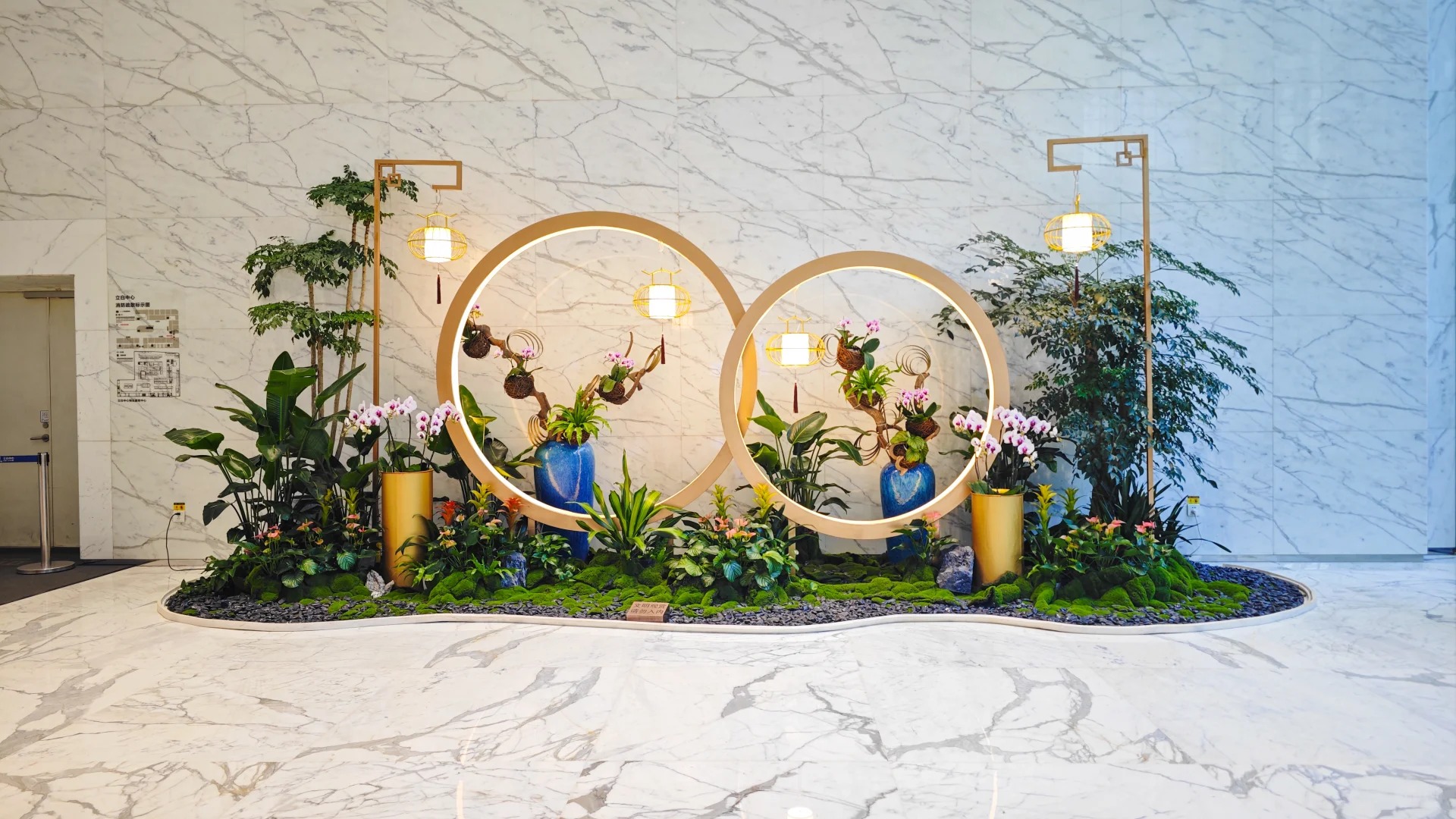 专业盆景出租在宁波前湾，营造别样氛围