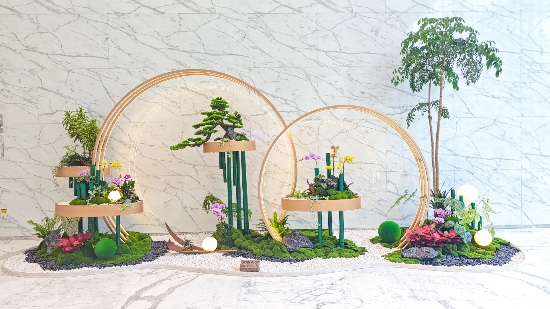 专业盆景出租在宁波前湾，营造别样氛围